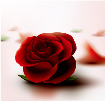 单枝红玫瑰花