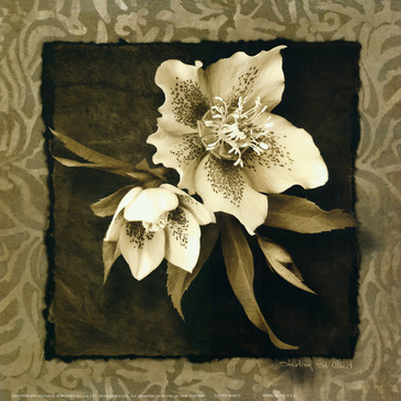 蓝底白花装饰画