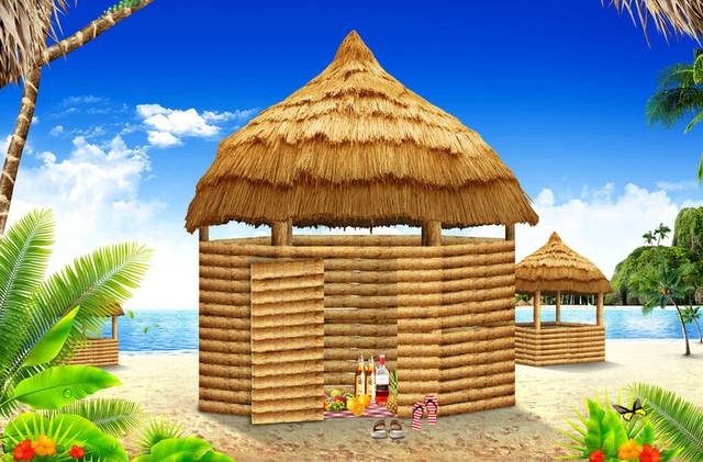 沙滩的茅草屋