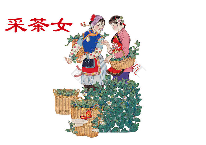 采茶女茶叶