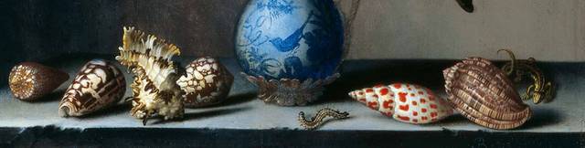 花瓶和海螺油画素材