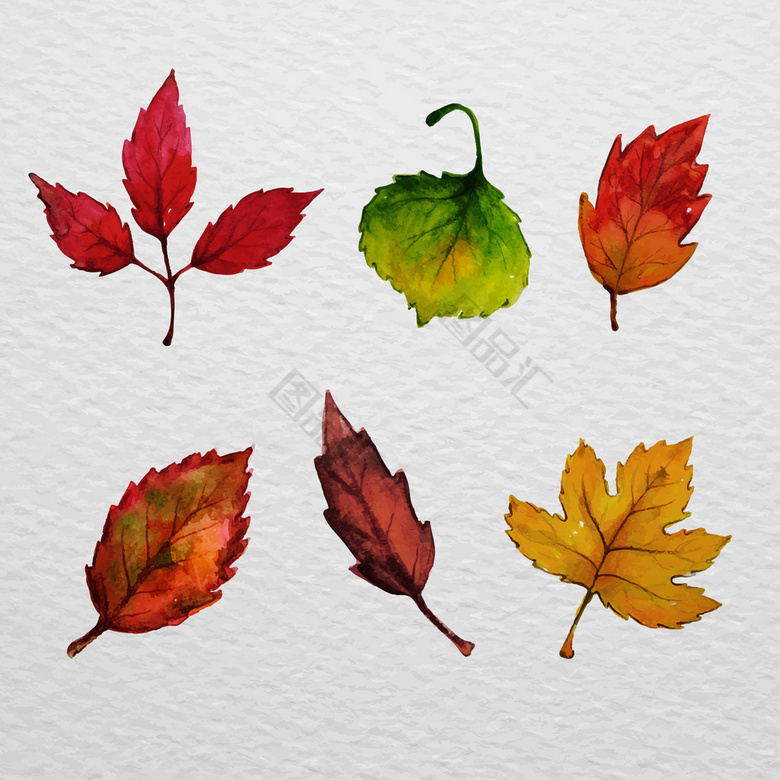 设计元素 卡通手绘 水彩树叶秋季素材5  秋季素材 秋季元素 秋天素材