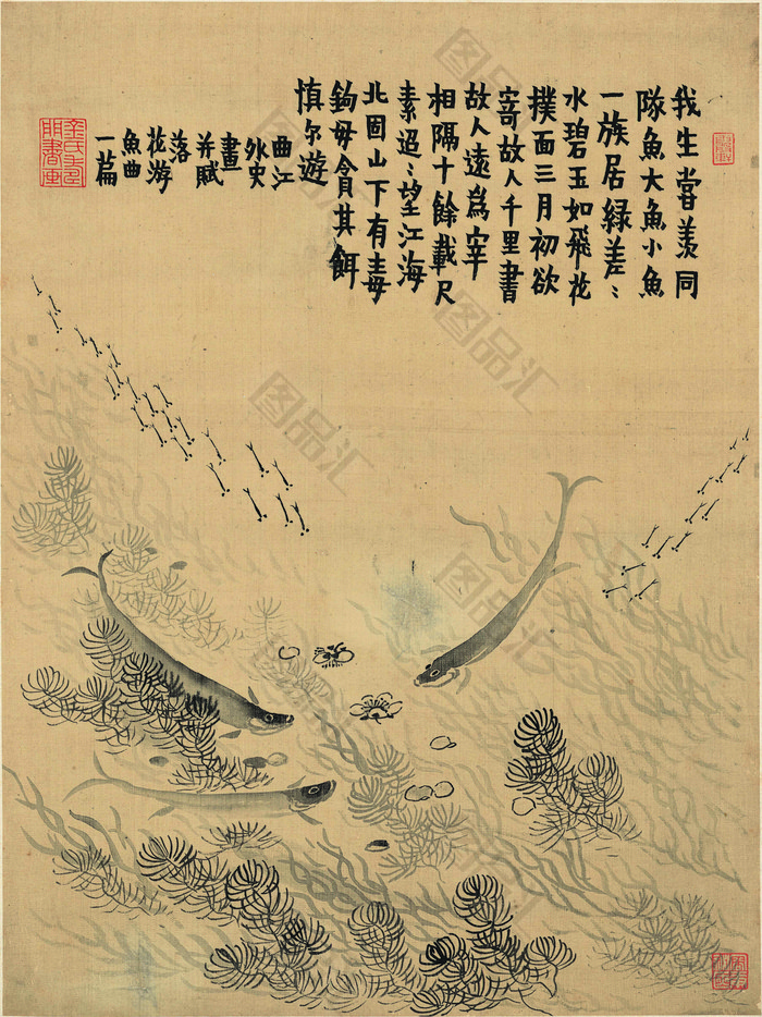 水草游鱼古典装饰画 水草游鱼古典装饰画