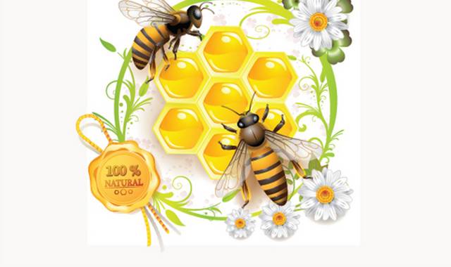 矢量春天蜜蜂素材