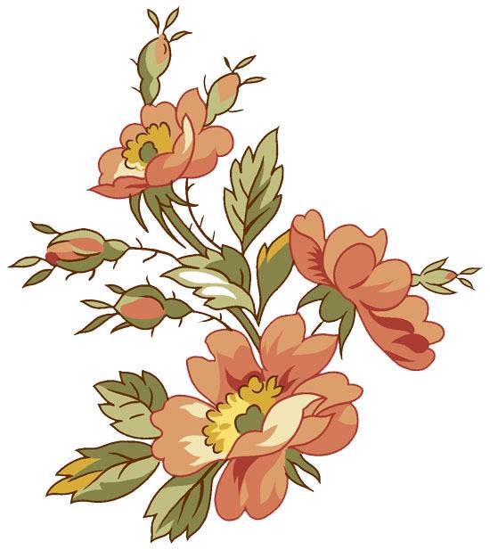 花卉图片