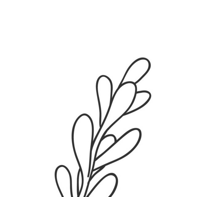 盆栽小植物插画3