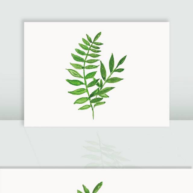 矢量绿叶含羞草