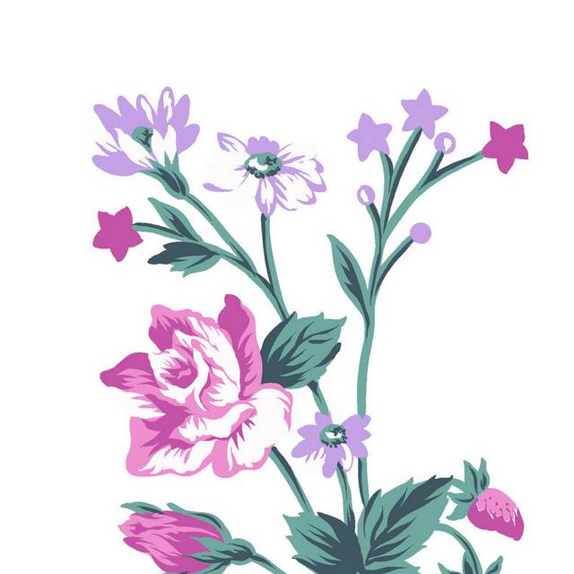花卉图片