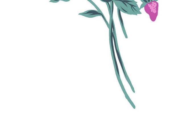 花卉图片