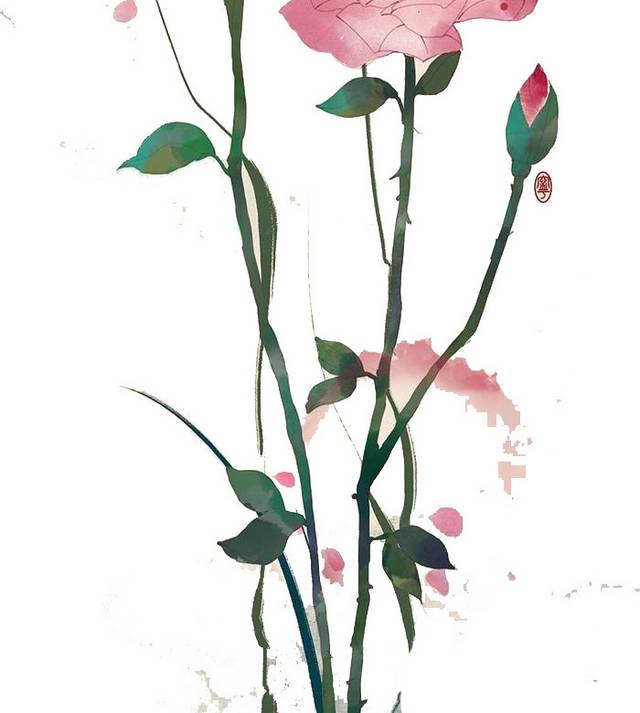 荷花