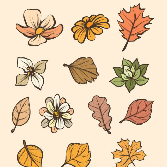 精美多彩树叶秋季素材10