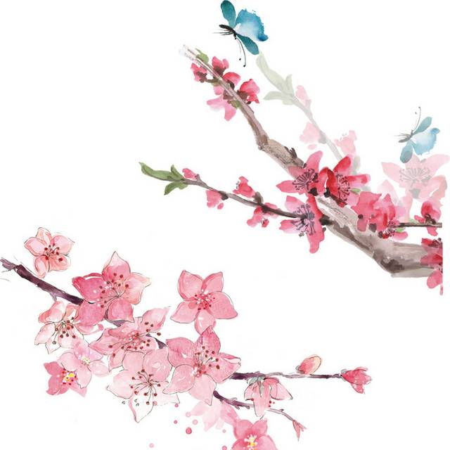 蝴蝶素材