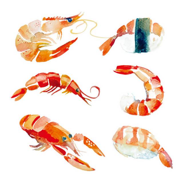 手绘海鲜