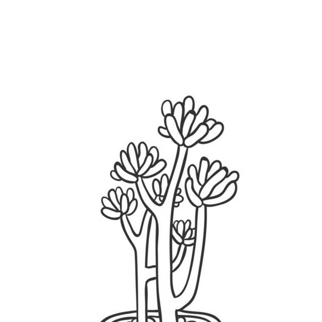 盆栽小植物插画7