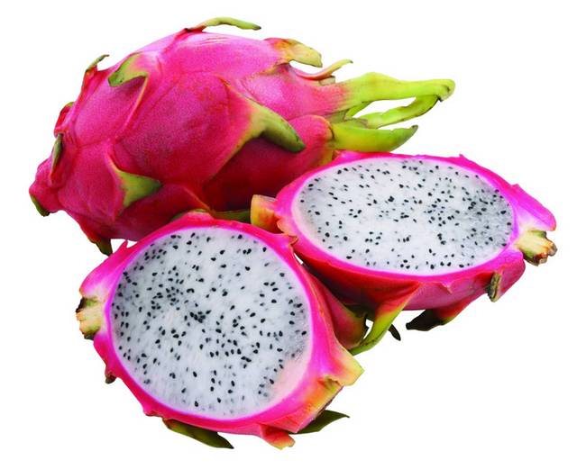 火龙果素材