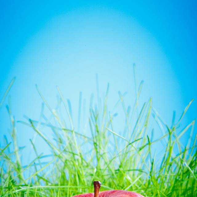 苹果