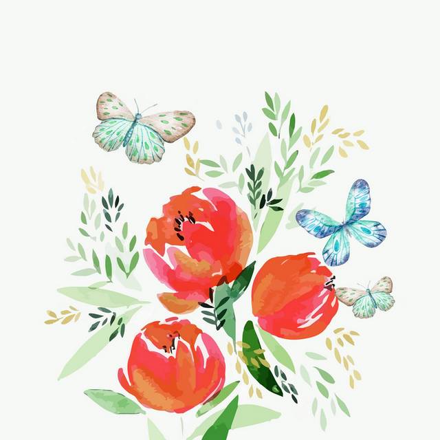 花卉图片