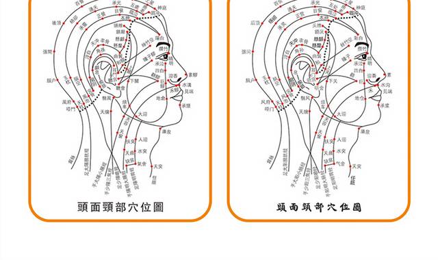 面部头部穴位