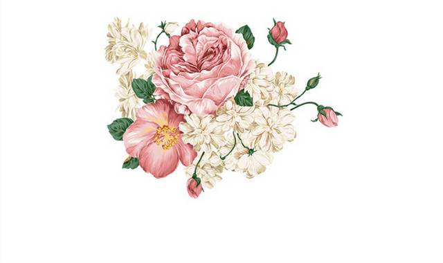 清新怡人色彩鲜艳古典复古美式欧式玫瑰花
