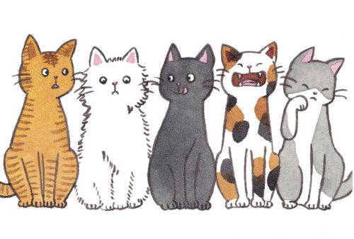 猫素材