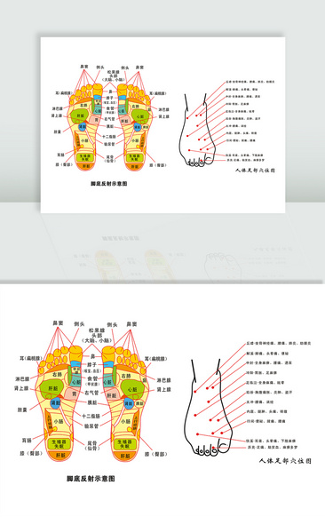 腳底足底穴位圖