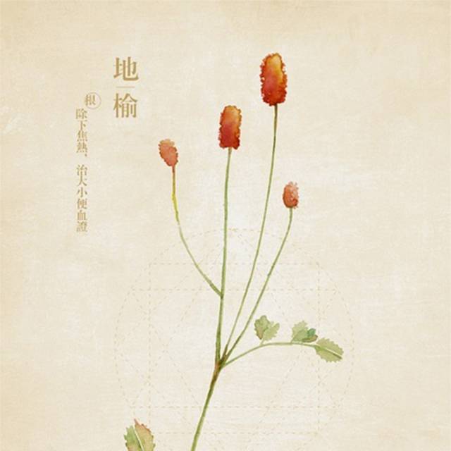 中药