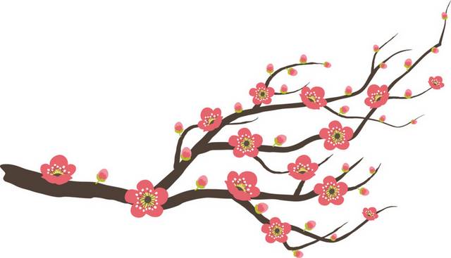 梅花素材