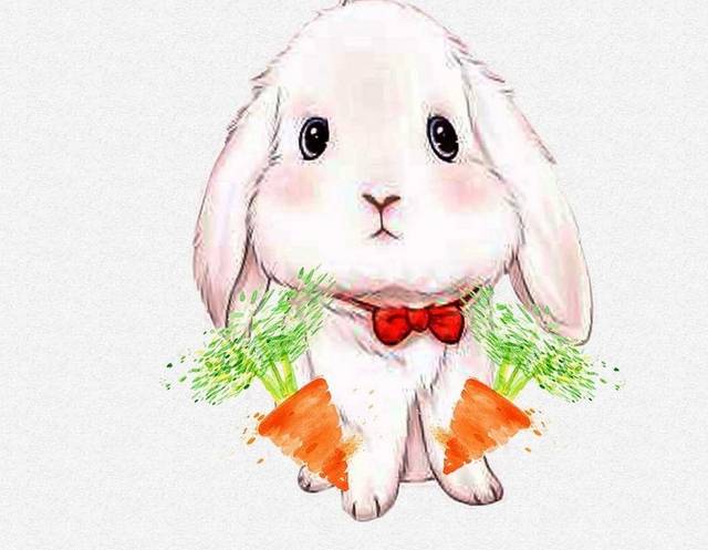 卡通兔子原创卡通宠物店海报萌宠兔免费下载
