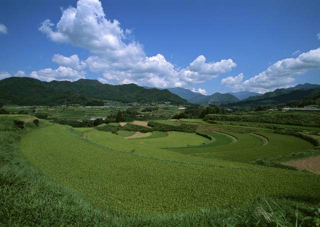 自然风光