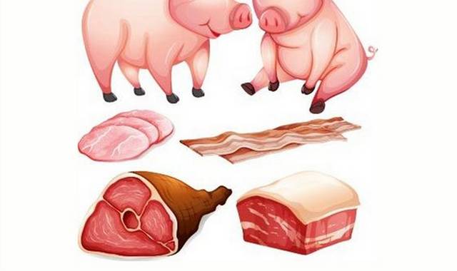 矢量小猪猪肉