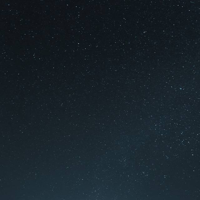 老鹰图片