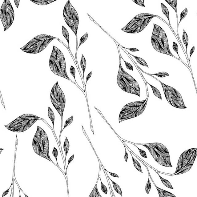 黑白植物插画6