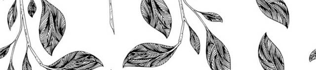 黑白植物插画6