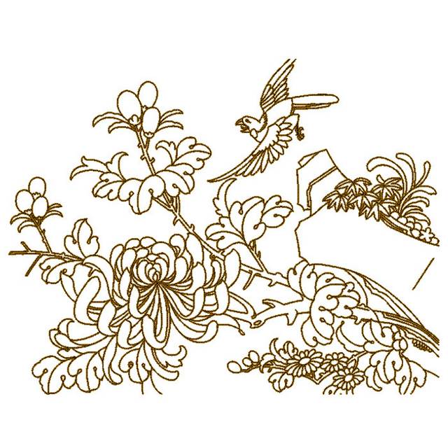 菊花