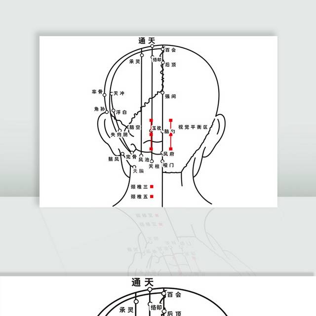 头部穴位图素材