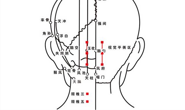 头部穴位图素材