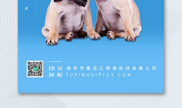 蓝色简约文明养犬公益宣传海报