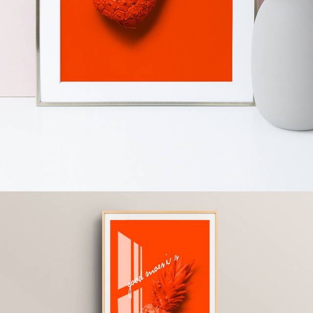 橙色菠萝水果装饰画