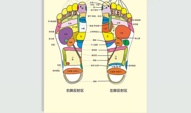 脚底足疗穴位图