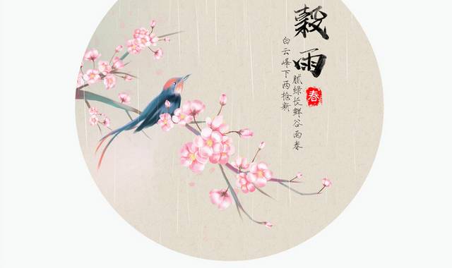 中国风花鸟图谷雨节气插画