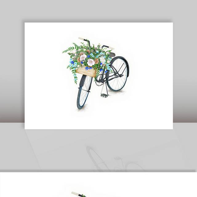 鲜花花卉花朵