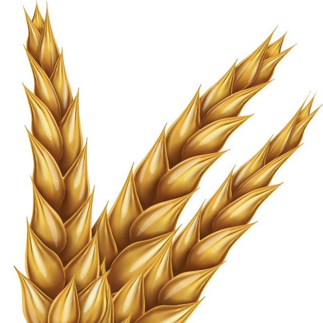 五谷杂粮
