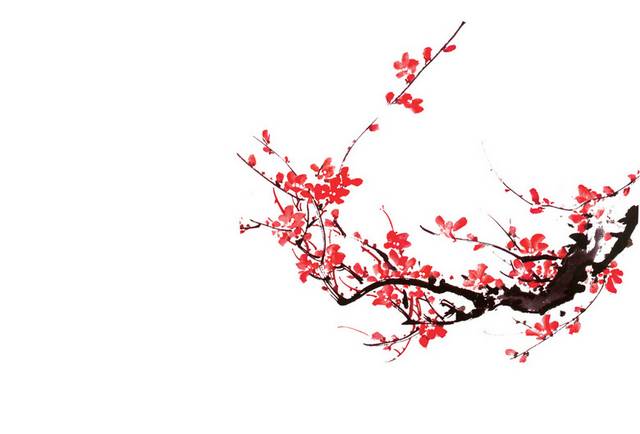 中国风梅花背景