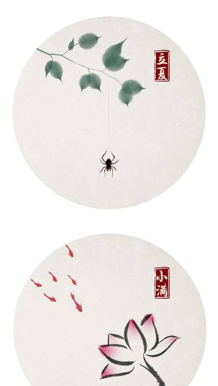 荷花