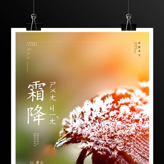 创意䁔色系霜降宣传海报