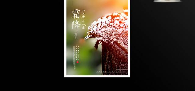 创意䁔色系霜降宣传海报