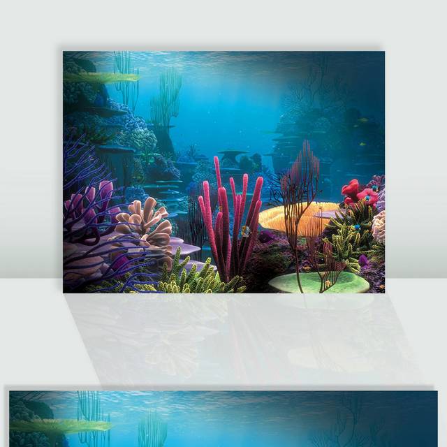 海洋生物珊瑚图片
