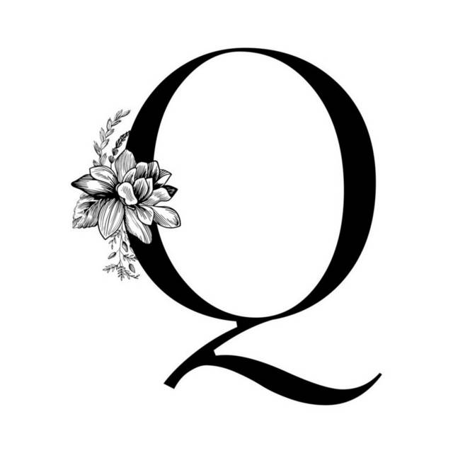 字母Q插画4