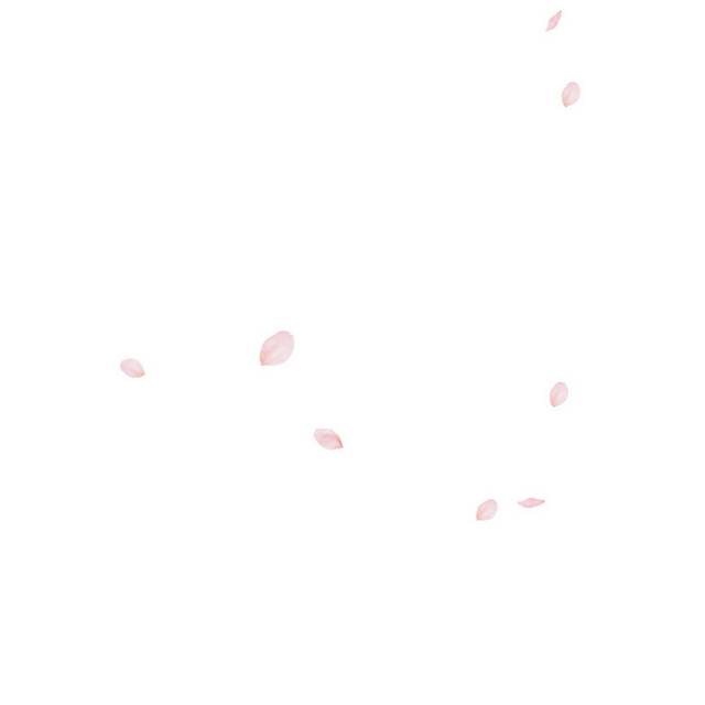 粉色花瓣6