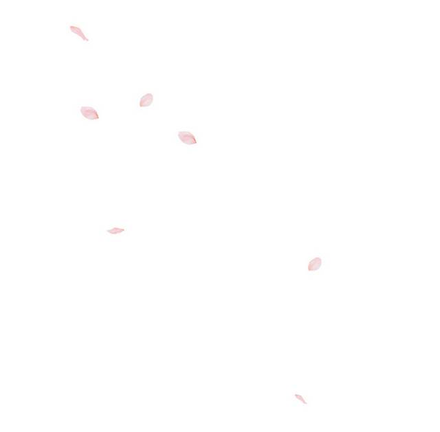 粉色花瓣6